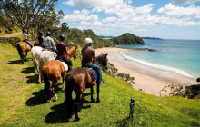 Roatan Anderson Tours1