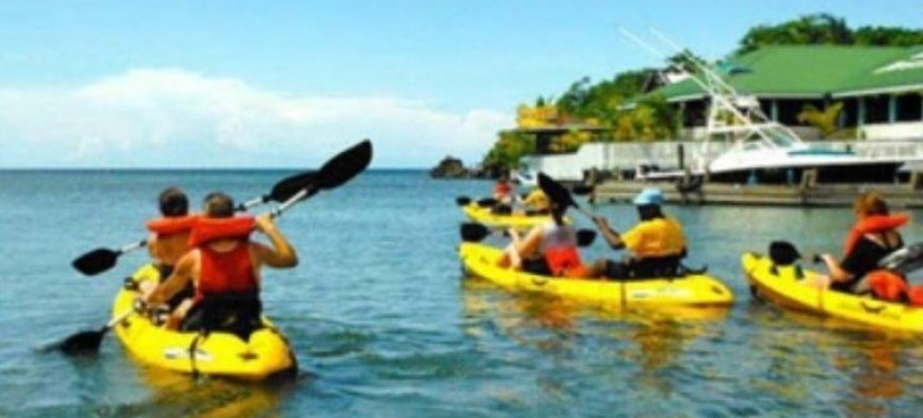 West End Bay Sea Kayak And Reef Snorkel
