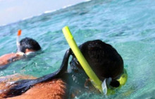 Roatan Anderson Tours6
