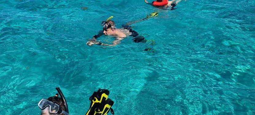 Half Day Guided Snorkel Tour In Roatan With Lunch