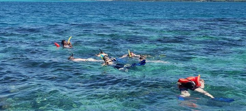 Half Day Guided Snorkel Tour In Roatan With Lunch