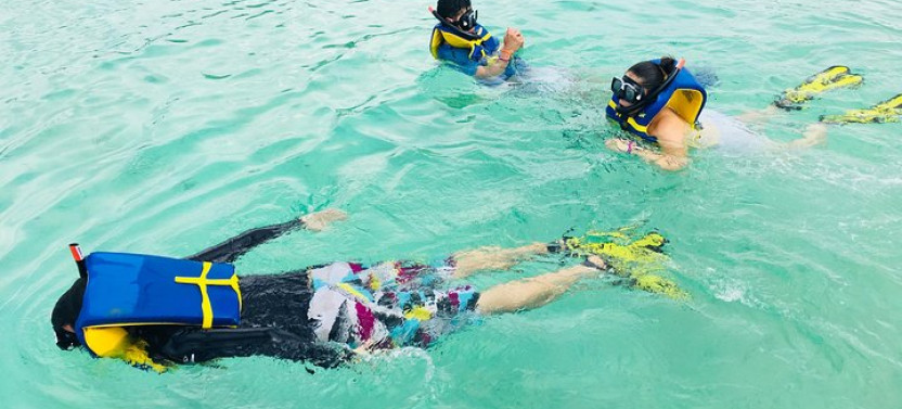 Half Day Guided Snorkel Tour In Roatan With Lunch