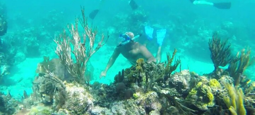 Roatan Monkey/Sloth Eco-park & Snorkeling Adventure