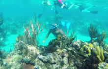 Roatan Anderson Tours3