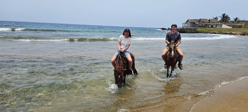 Roatan Combo Horseback Ride With Zip Line Adventure And Snorkel