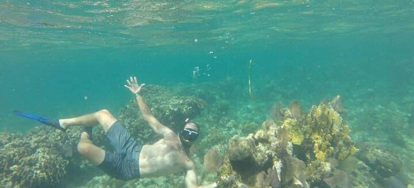 Roatan Monkey/Sloth Eco-park & Snorkeling Adventure
