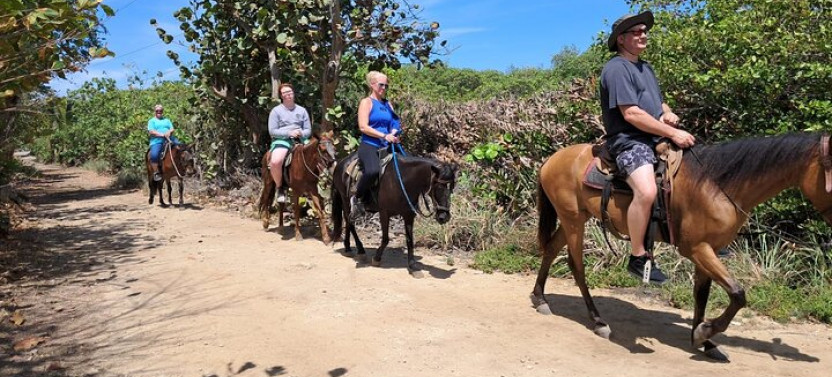 Roatan Combo Horseback Ride With Zip Line Adventure And Snorkel