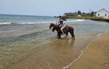 Roatan Anderson Tours4