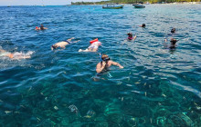 Roatan Anderson Tours10