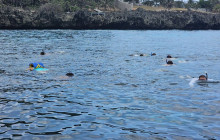 Roatan Anderson Tours11