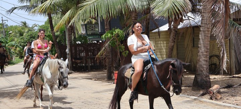 Roatan Horseback Ride With Wildlife Eco-park And Snorkel