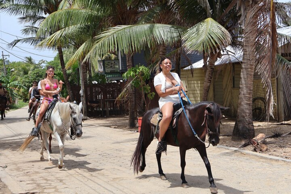 Roatan Horseback Ride With Wildlife Eco-park And Snorkel