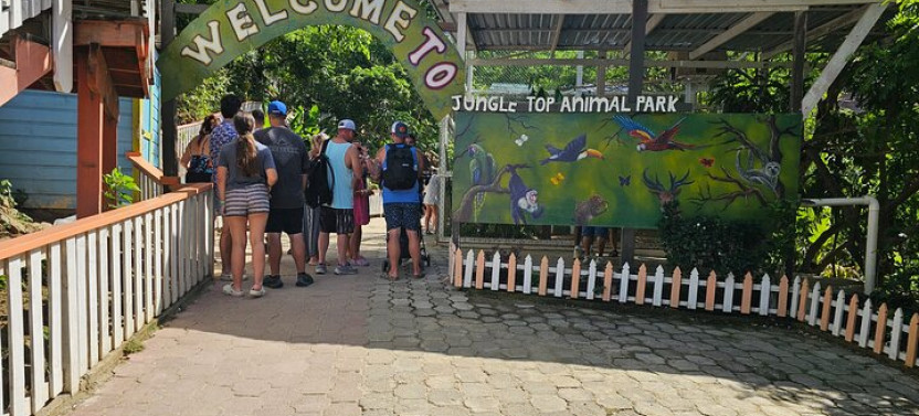 Roatan Horseback Ride With Wildlife Eco-park And Snorkel