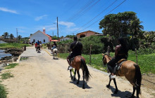 Roatan Anderson Tours10