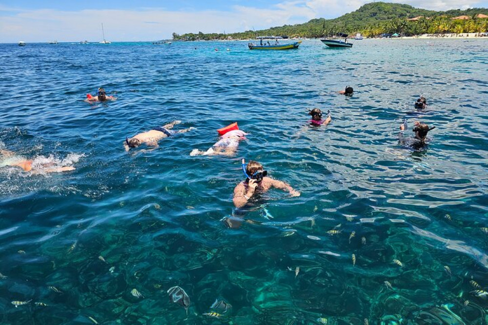 Roatan Anderson Tours