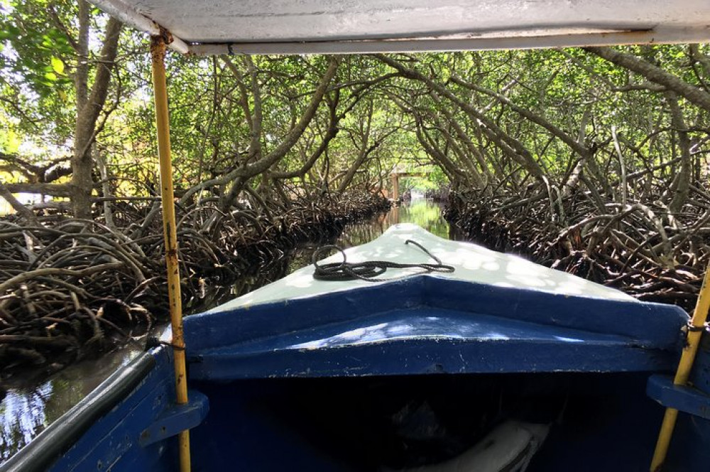 Roatan Ethnic Garifuna Culture Center And Mangrove Tunnel