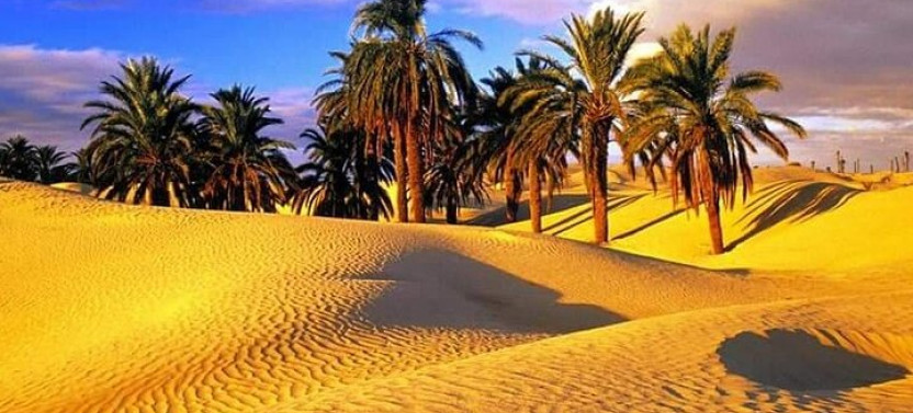 3 Days 2 Nights Tunisian Sahara: Douz & Tozeur