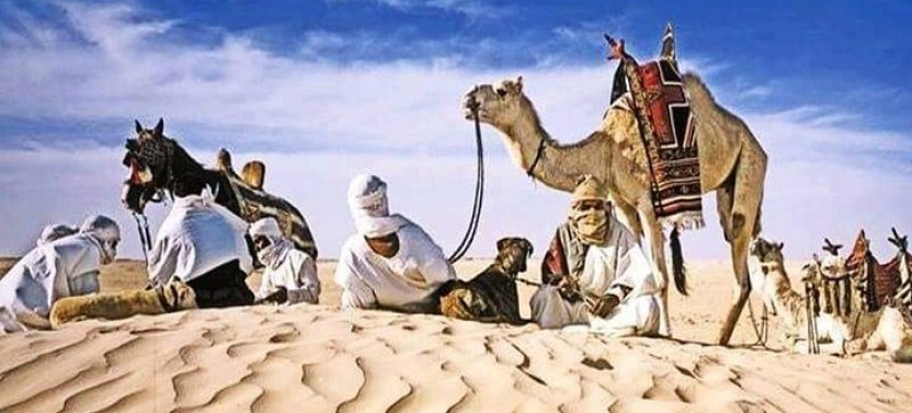 4 Day Private Tour: Sahara And Djerba Island From Tunis And Hammamet