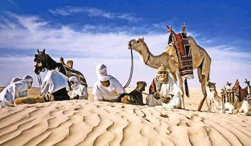 A picture of 4 Day Private Tour: Sahara And Djerba Island From Tunis And Hammamet