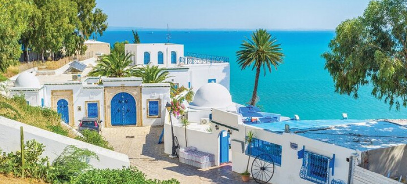 Full Day Private Tour Medina Of Tunis, Carthage, Sidi Bousaid With Lunch