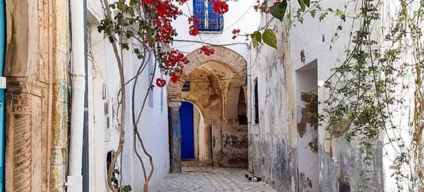 Full Day Private Tour Medina Of Tunis, Carthage, Sidi Bousaid With Lunch