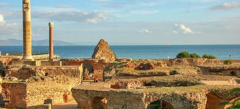 Full Day Private Tour Medina Of Tunis, Carthage, Sidi Bousaid With Lunch