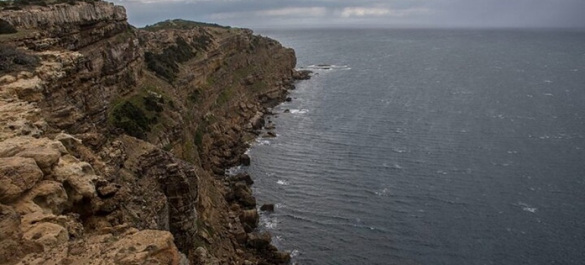 Private Day Trip To Cap Bon