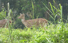 Himalayan Sanctuary Adventure7