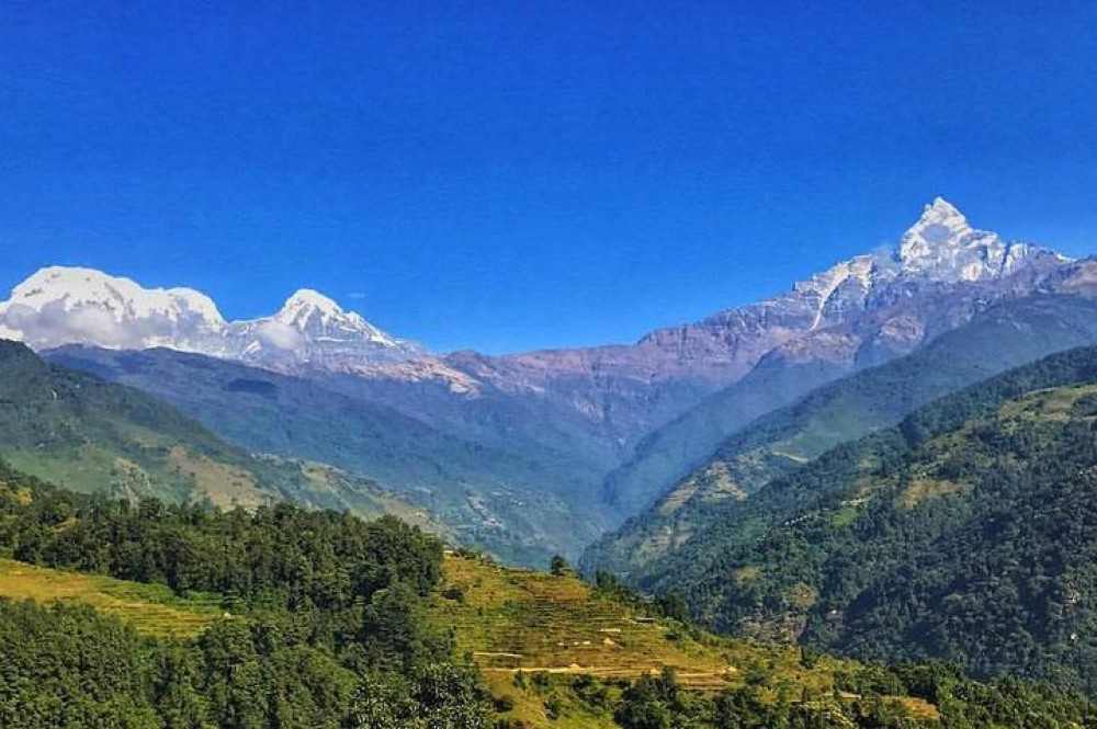 10 Day Private Kathmandu, Chitwan and Pokhara With Dhampus Sarangkot Trek