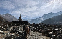 Himalayan Sanctuary Adventure5