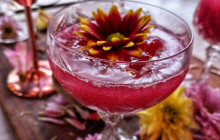 Vallarta Food Tours4