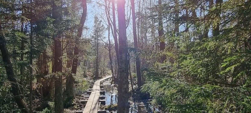 Day Tour of Estonia's Best Nature Trails