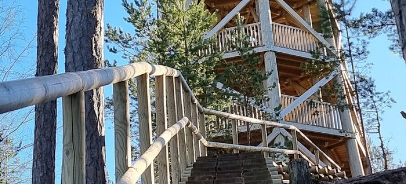 Day Tour of Estonia's Best Nature Trails