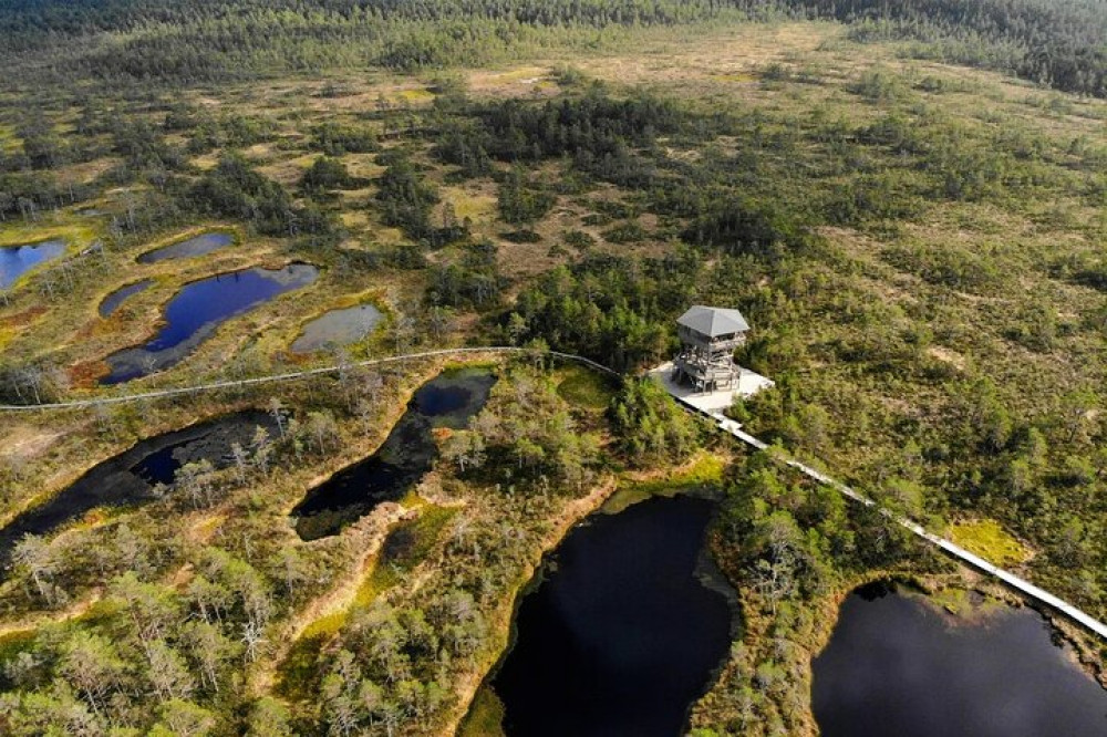 Day Tour of Estonia's Best Nature Trails