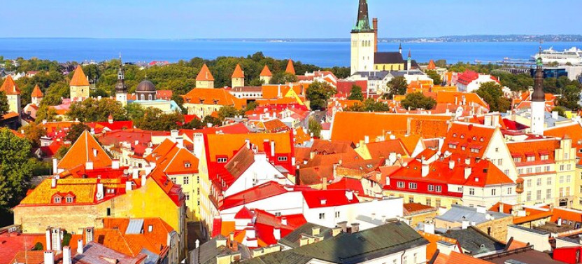 High Class Cruise from Helsinki to Tallinn with Lounge Access