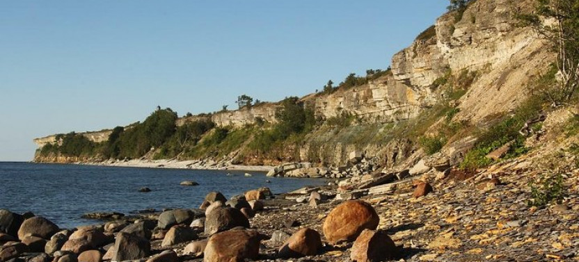 Estonian Seaside Tour