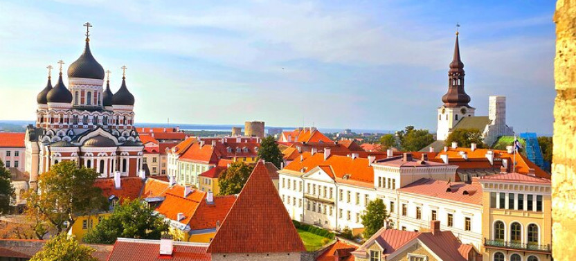 Half-day Private Accessible City Tour In Tallinn