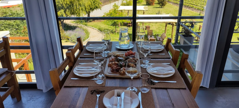 Colonia Del Sacramento Day Tour - Wine Tour Experience