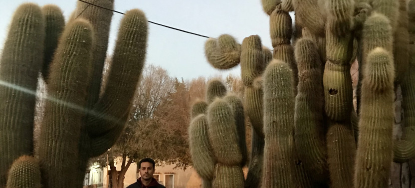 Tour of the Quebrada de Humahuaca, Serranías de Hornocal, & 14 Colors