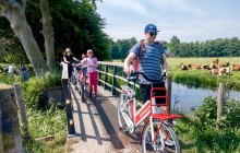 Bike Tours Haarlem3