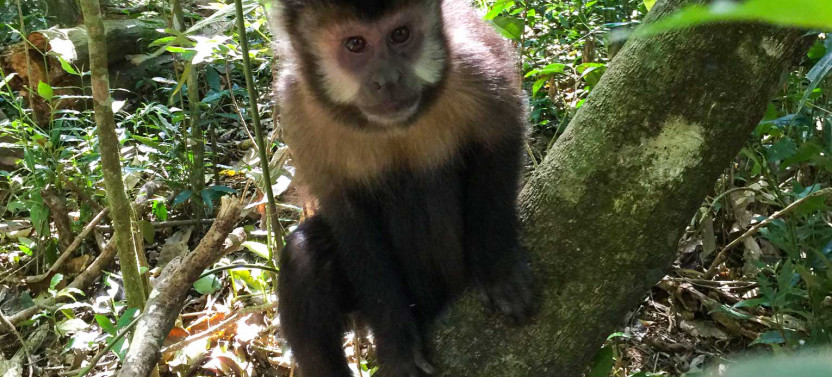 Iguazu Biocenter & Guarani Village