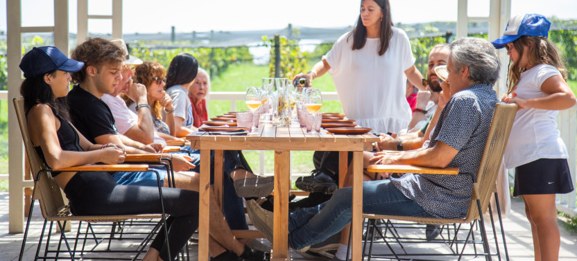 Gamboa Experience: Premium Wine Tasting and Tour of Unique Vineyards
