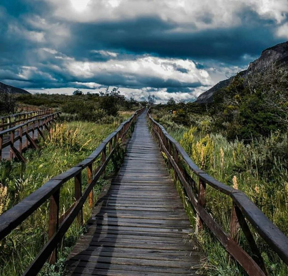 Excursion to Tierra del Fuego National Park with Bahía Lapataia