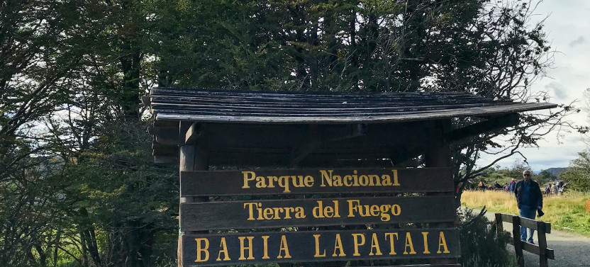 Excursion to Tierra del Fuego National Park with Bahía Lapataia
