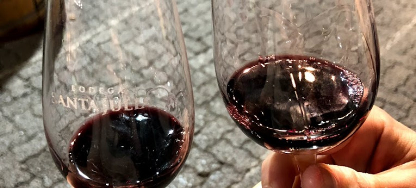 Premium Wine Discovery: Rutini, Trivento, and Gourmet Lunch