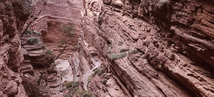 Tour to Cafayate through the Calchaquies Valleys with Wine Tasting