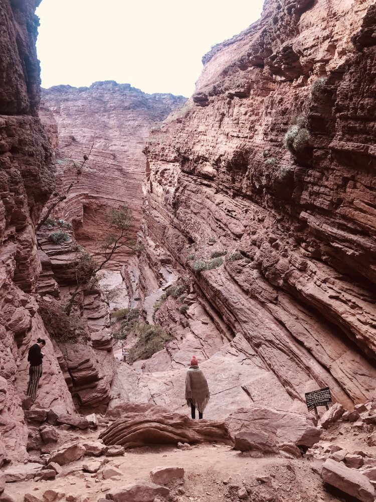 Tour to Cafayate through the Calchaquies Valleys with Wine Tasting