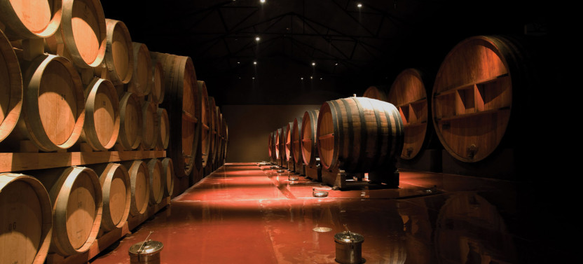 Visit to Wineries and Olive Oil Factory