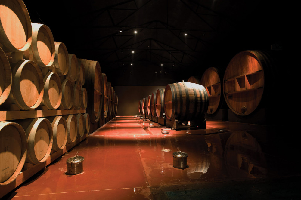 Visit to Wineries and Olive Oil Factory