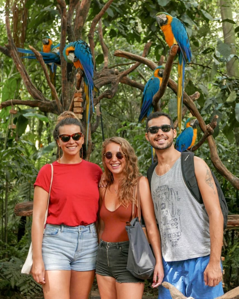 Brazilian Iguazu Falls and Bird Park Combo Tour